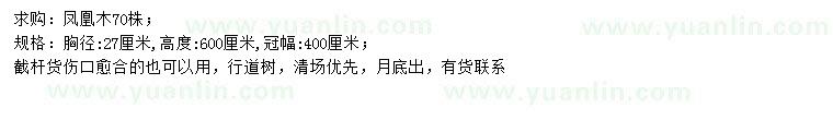求購胸徑27公分鳳凰木