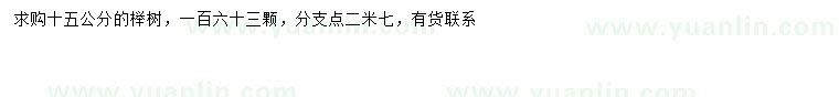 求購15公分櫸樹