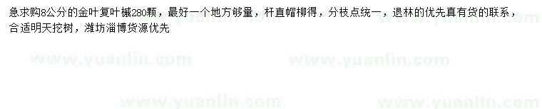 求購8公分金葉復(fù)葉槭