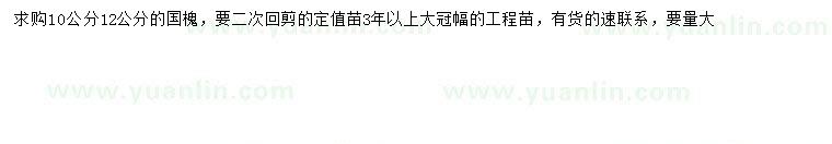求購10、12公分國槐
