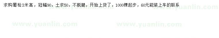 求購高3米蜀檜