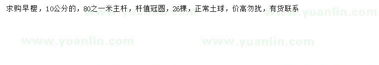 求購(gòu)10公分早櫻