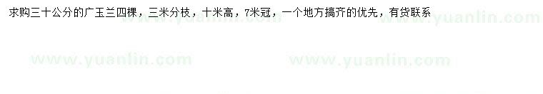 求購30公分廣玉蘭