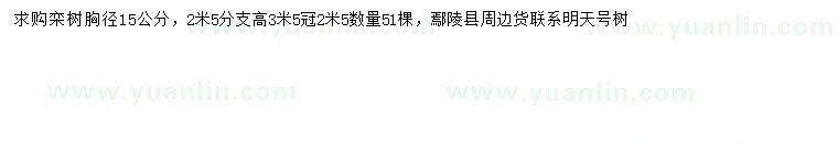 求購胸徑15公分欒樹
