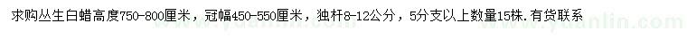 求購(gòu)冠幅450-550公分叢生白蠟