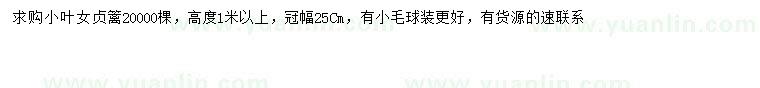 求購高1米以上小葉女貞