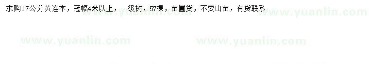 求購17公分黃連木