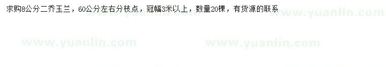 求購8公分二喬玉蘭