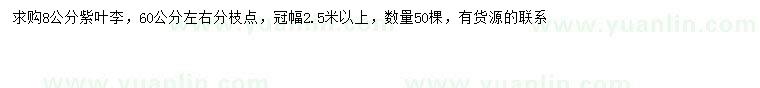 求購8公分紫葉李