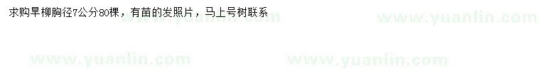 求購(gòu)胸徑7公分旱柳