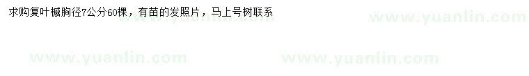 求購胸徑7公分復(fù)葉槭
