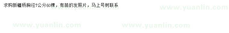 求購胸徑7公分新疆楊