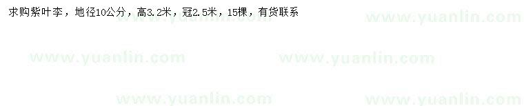 求購地徑10公分紫葉李