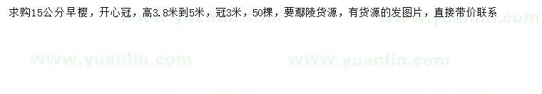 求購15公分早櫻