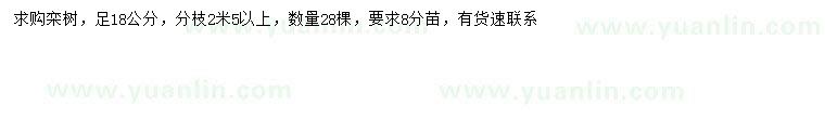 求購18公分欒樹