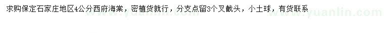 求購4公分西府海棠