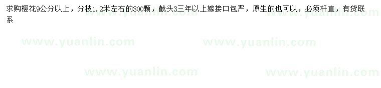 求購9公分以上櫻花