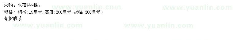 求購胸徑19公分水蒲桃