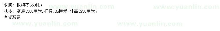求購高500公分銀海棗