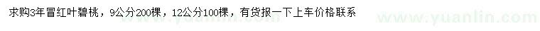 求購9、12公分紅葉碧桃