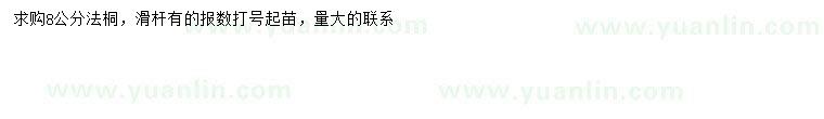 求購8公分法桐
