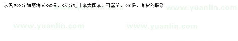 求購(gòu)絢麗海棠、紅葉李、太陽(yáng)李
