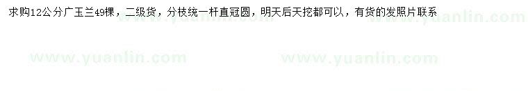 求購(gòu)12公分廣玉蘭