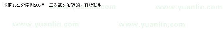 求購15公分欒樹
