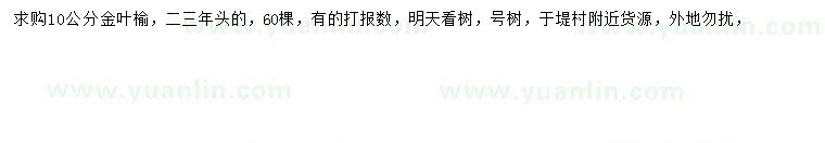 求購10公分金葉榆