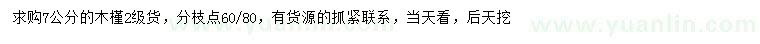 求購7公分木槿