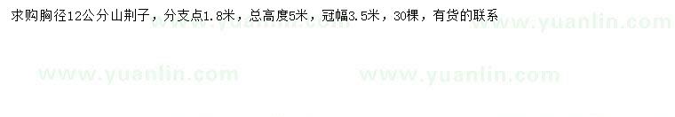 求購胸徑12公分山荊子