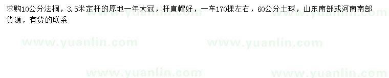 求購10公分法桐