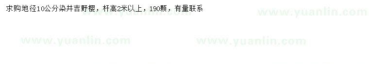 求購地徑10公分染井吉野櫻
