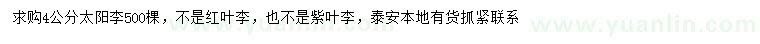 求購4公分太陽(yáng)李