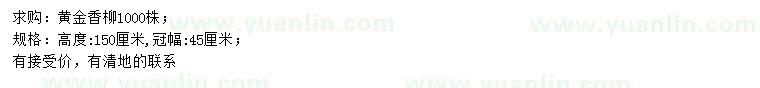 求購(gòu)高150公分黃金香柳