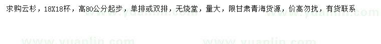 求購高80公分以上云杉