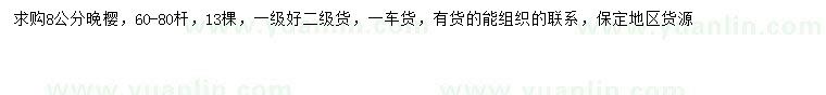 求購8公分晚櫻