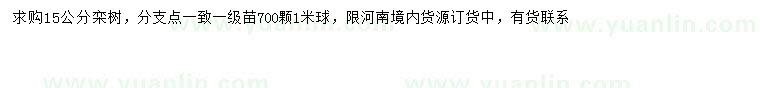 求購15公分欒樹