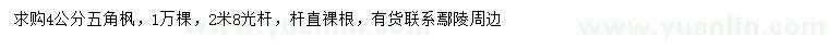 求購(gòu)4公分五角楓