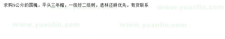 求購9公分國槐