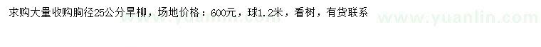 求購(gòu)胸徑25公分旱柳