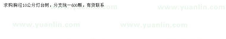 求購胸徑10公分燈臺樹