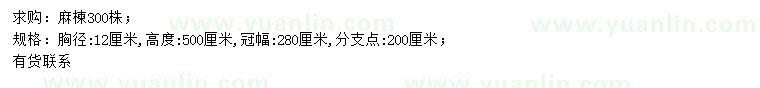 求購胸徑12公分麻楝