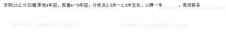 求購23公分白蠟