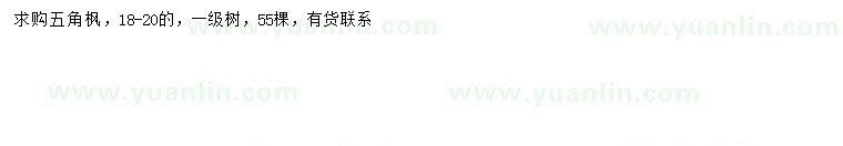 求購18-20公分五角楓