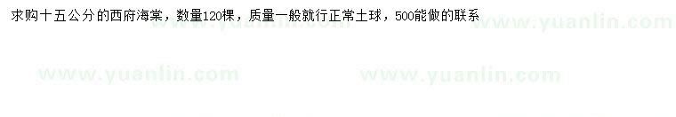 求購15公分西府海棠