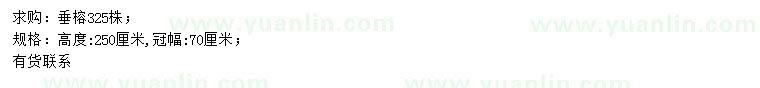 求購(gòu)高250公分垂榕