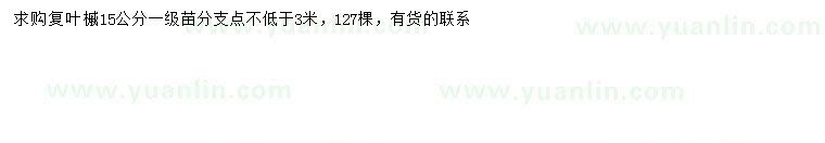 求購(gòu)15公分復(fù)葉槭