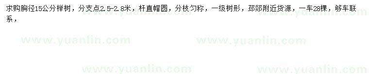 求購胸徑15公分櫸樹