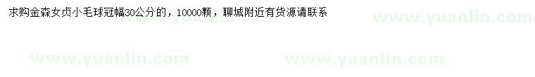 求購冠幅30公分金森女貞球